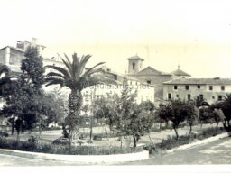 Mula Antigua serie-2